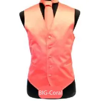 Big-Coral Mens Solid Vest