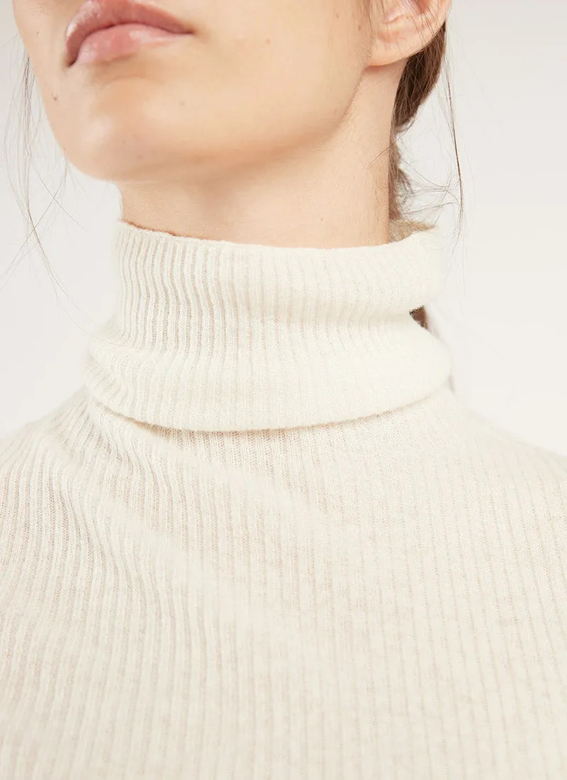 Wool and Cashmere Turtleneck Sweater